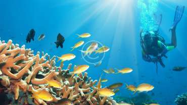 Professional Underwater Photoshoot for Kids and Adults