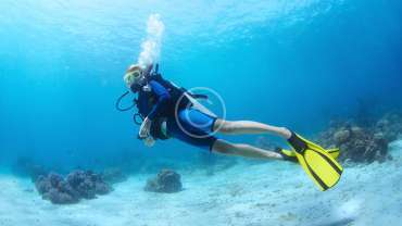 7 Reasons to Become a PADI Rebreather Diver
