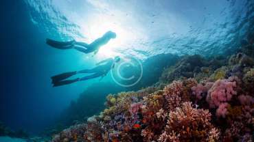 The Beautiful Creatures of the Cave