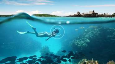 Top 5 Diving Spots on the West Coast